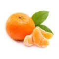 Mandalina Satsuma İzmir kg