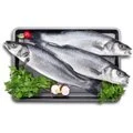 Levrek 400-600 g