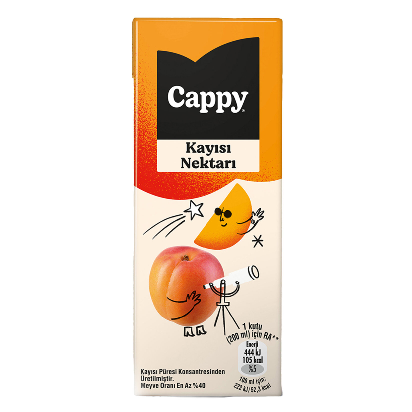 Cappy Kayısı Nektarı Karton Kutu 200 ML