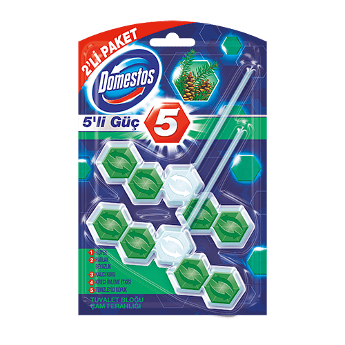 Domestos Wc Blok 5'li Güç Cam Ferahlığı 2'li
