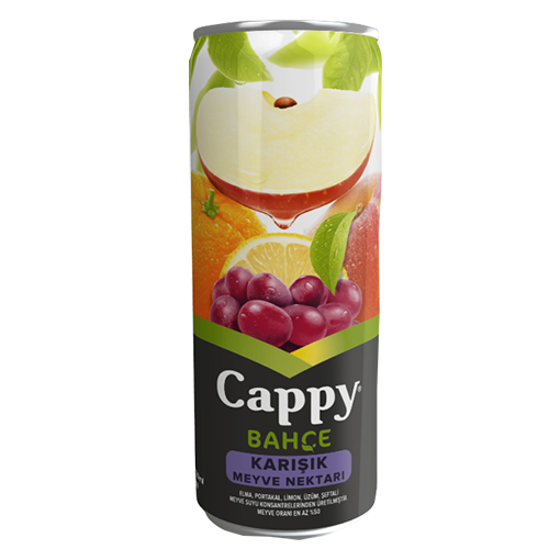 Cappy 330 Ml M.Suyu Karışık Meyve Kutu