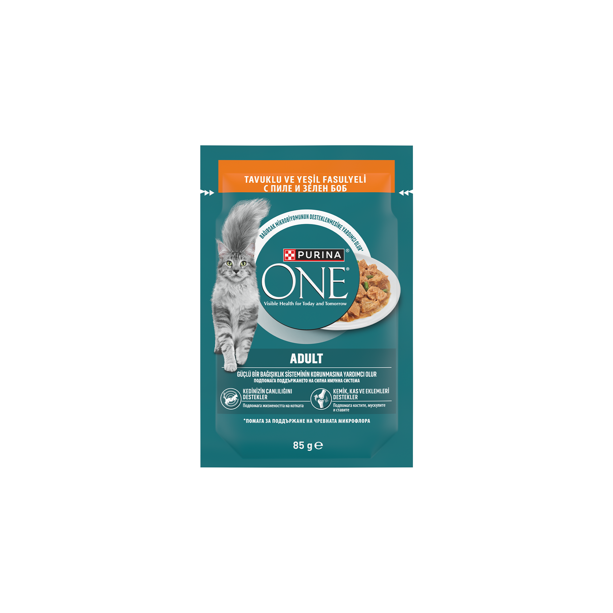 Purina ONE Tavuklu Yetişkin Yaş Kedi Maması